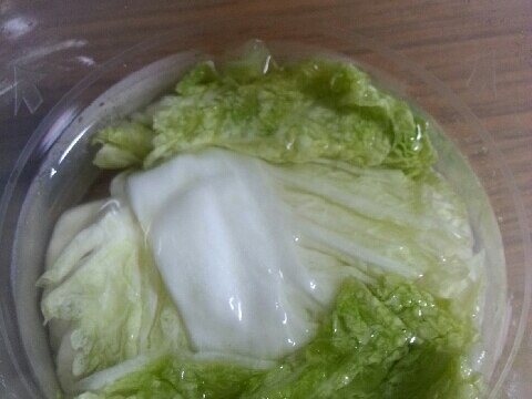 昆布茶で作る白菜の浅漬け レシピ 作り方 By ドゥルッドゥー 楽天レシピ 昆布茶で作る白菜の浅漬け レシピ 作り方 By ドゥルッドゥー 楽天レシピ